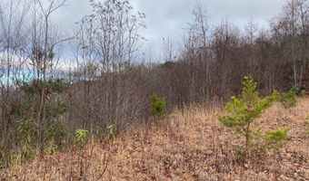 Lot G5 Georgianna Lane, Bryson City, NC 28713