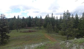 000 Hansen Ridge Rd, Anatone, WA 99401