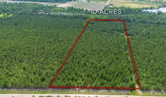 Tract 12 Sanderling, Alma, GA 31510