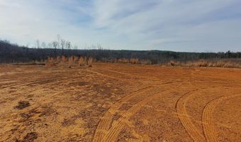 85 6+/- Acres County Road 2291, Booneville, MS 38829