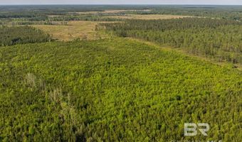Flowers Road, Bay Minette, AL 36507