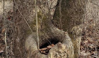 4775 S 50th Rd, Aldrich, MO 65601