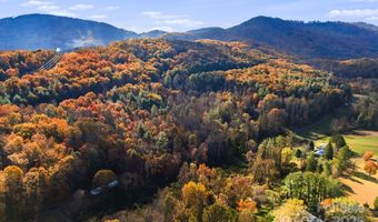 49 Willow Creek Dr, Asheville, NC 28803