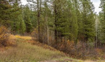 Lot 24 TRAIL RIDGE Road, Alpine, WY 83128