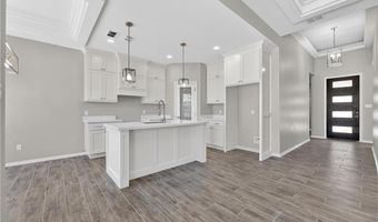 425 Serg Loop, Alamo, TX 78516