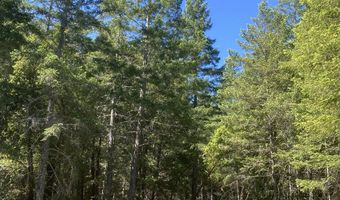 Agness-Illahe Rd, Agness, OR 97406