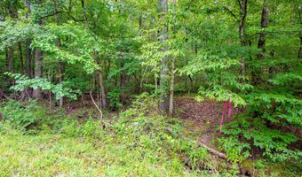 1 Camino Rd, Hot Springs Village, AR 71909