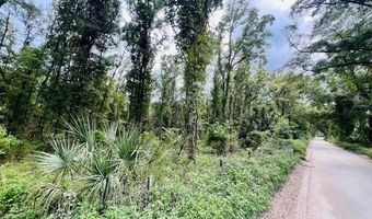 Lot 5 67th Pl, Bell, FL 32619