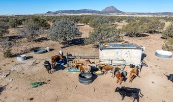 10777 Raging Crab Rd, Ash Fork, AZ 86320