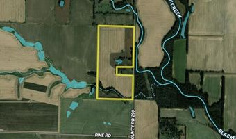 0001 CR-290, Asbury, MO 64832