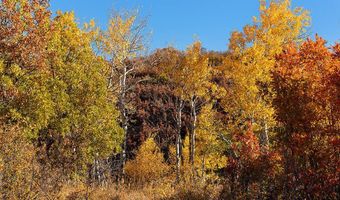 Trentaz Drive, Aspen, CO 81611