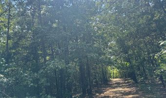 1324 Highway 81 N, Calhoun Falls, SC 29628