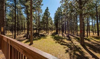 46 Susan Ln, Angel Fire, NM 87710