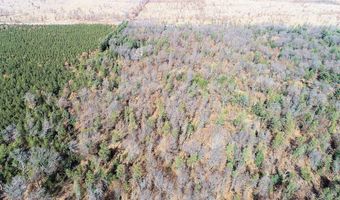 10 Acres County Road C, Arkdale, WI 54613