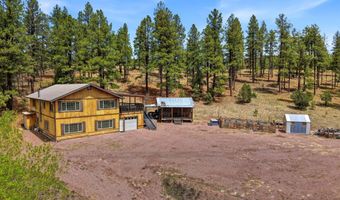 28 County Road 2310, Alpine, AZ 85920