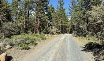 Thunder Bear Road, Bonanza, OR 97623
