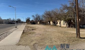 214 S Alameda St, Carlsbad, NM 88220