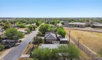 1219 W Stensbo Ave, Alamo, TX 78516