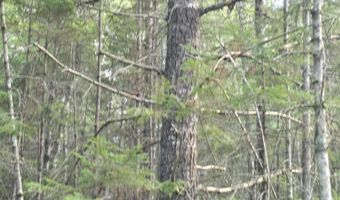 Cummings Lane, Acton, ME 04468