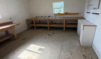 1251 N Edon Rd, Allen, MI 49227