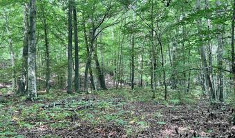930 ANNISTON BEACH Rd Lot 0, Anniston, AL 36206