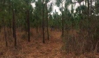 259 Forest Lake Rd, Beaumont, MS 39423