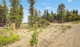 52 Meadowlake Dr, Black Hawk, CO 80422