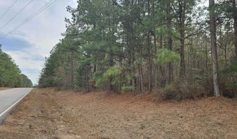 0 HWY 220 TRACT B, Lincolnton, GA 30817