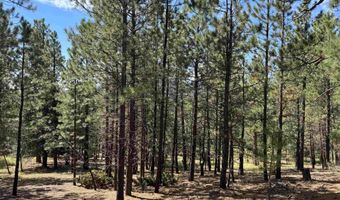 Upper Rd lot 18, Angel Fire, NM 87710