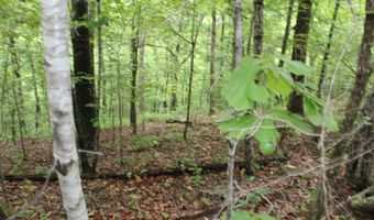 E Mountain Road, Bee Branch, AR 72013