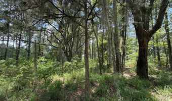 Mountain View Way, Bainbridge, GA 39819