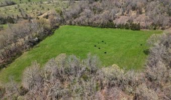 12491 County Road 414, Ava, MO 65608