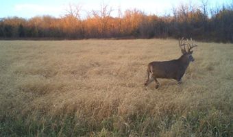 189 Th St, Albia, IA 52531