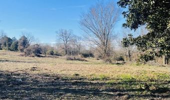 12 99 Ac Vacant Land Logan St, Altus, AR 72821