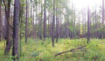 Hwy 9, Bruce, MS 38915