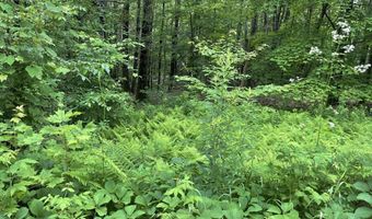 956 N Barnstead Rd, Barnstead, NH 03225