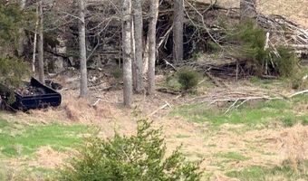 10 Acres Bob Dennings Rd, Allons, TN 38541