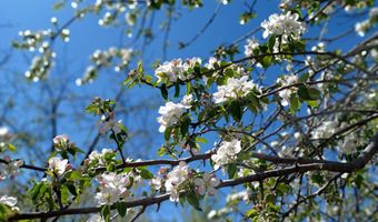 33017 77th, Arkansas City, KS 67005