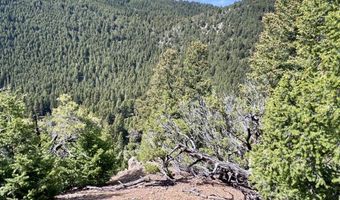 Nhn Lost Creek Rd, Anaconda, MT 59711