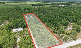 3210 50th St, Bell, FL 32619