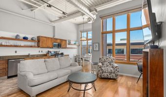 231 Robinson St 310, Basalt, CO 81621