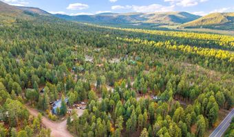 7 2190, Alpine, AZ 85920