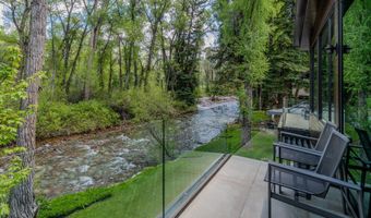 1110 Black Birch Dr, Aspen, CO 81611