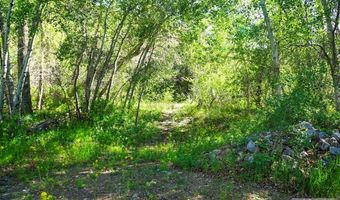 5479 Challis Creek Rd, Challis, ID 83226