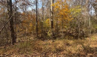 9- A Dulwich Dr, Amherst, VA 24521