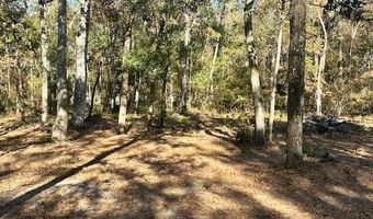 1058 78th Ave, Bell, FL 32619