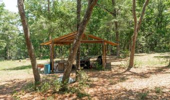 NW 57th Pl, Bell, FL 32619