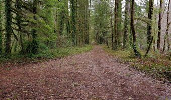 E Barlow Trail Rd, Brightwood, OR 97011