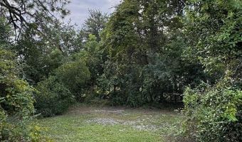 198 Holmesville Ave, Baxley, GA 31515