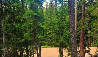 1013 RANGE Rd, Breckenridge, CO 80424